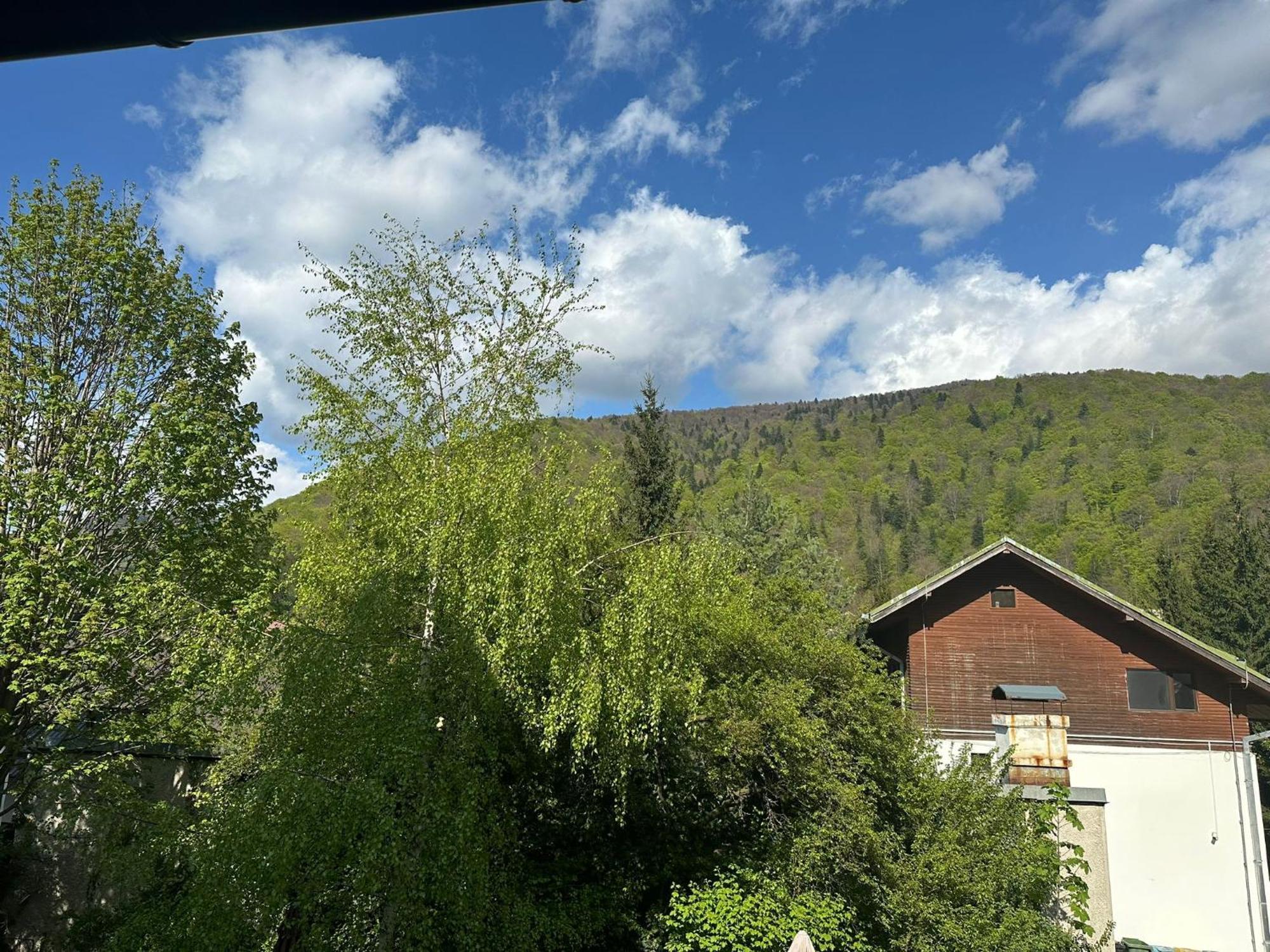 Rapsodia Sinaia Bed & Breakfast ภายนอก รูปภาพ