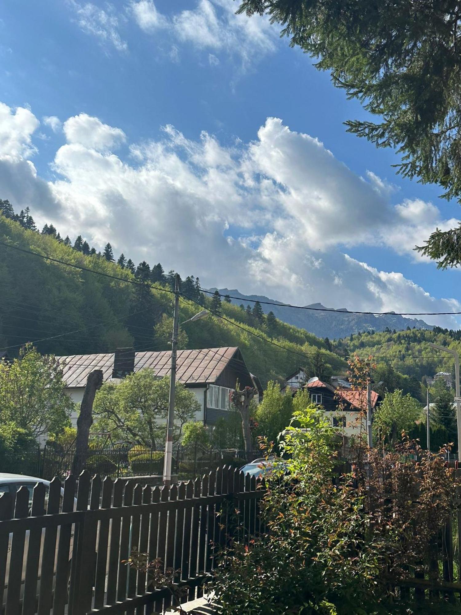 Rapsodia Sinaia Bed & Breakfast ภายนอก รูปภาพ