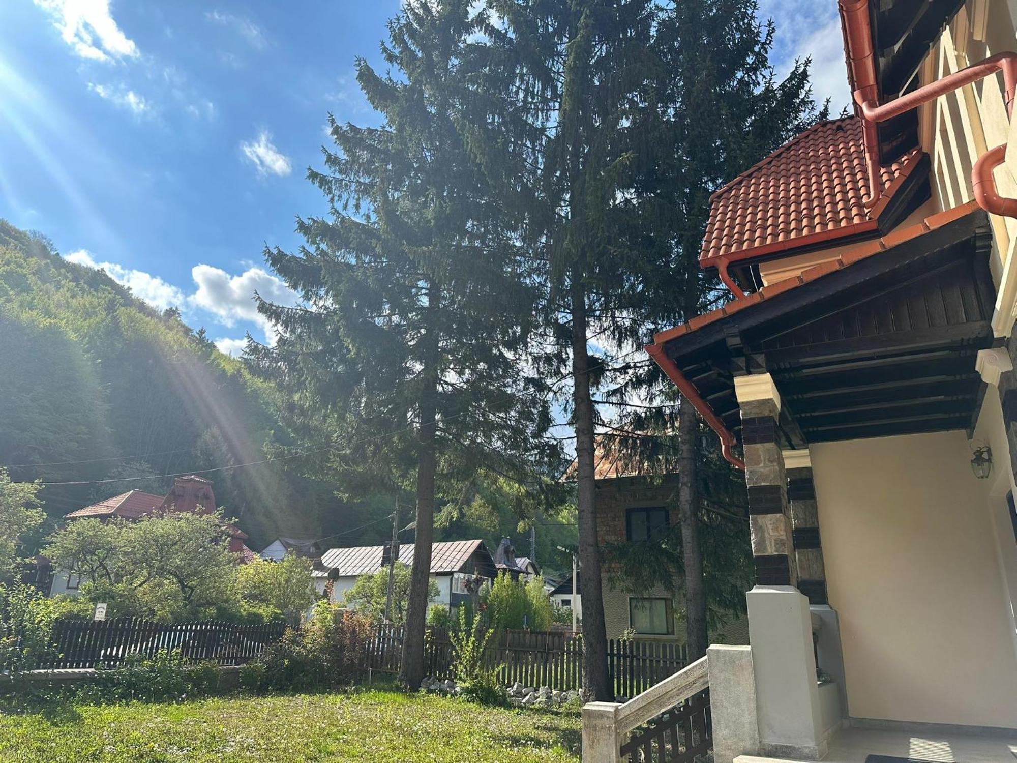 Rapsodia Sinaia Bed & Breakfast ภายนอก รูปภาพ