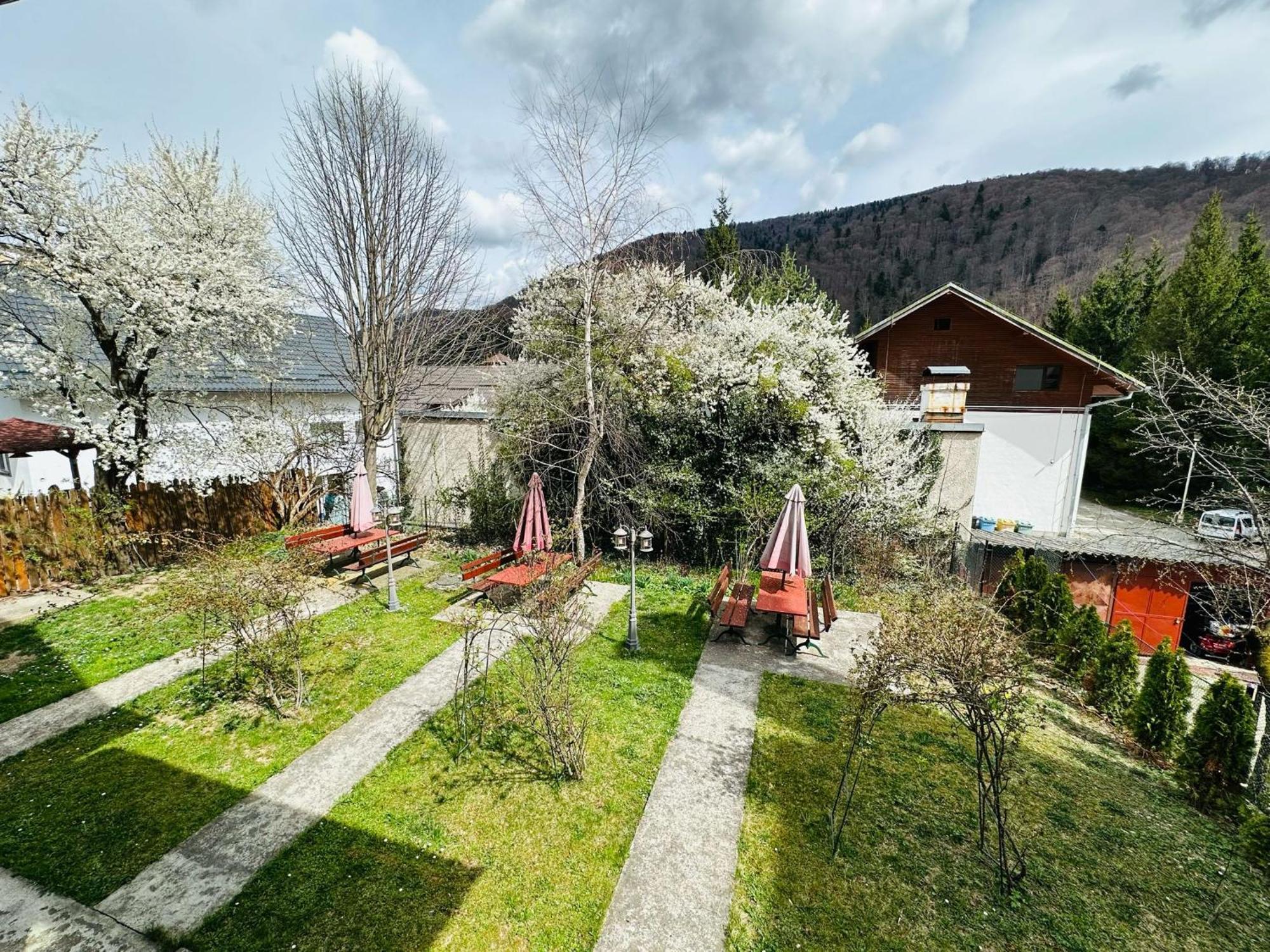 Rapsodia Sinaia Bed & Breakfast ภายนอก รูปภาพ