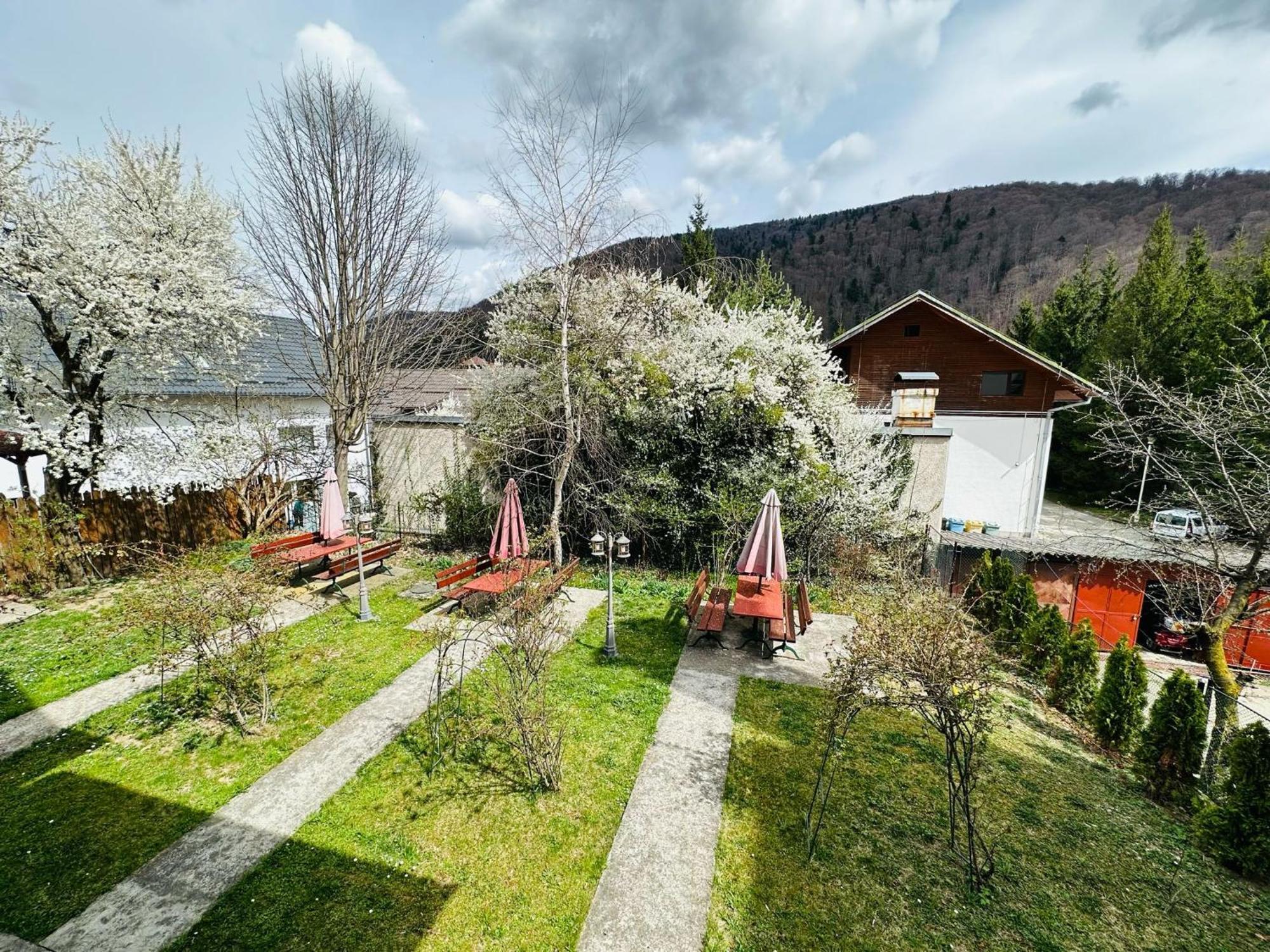 Rapsodia Sinaia Bed & Breakfast ภายนอก รูปภาพ