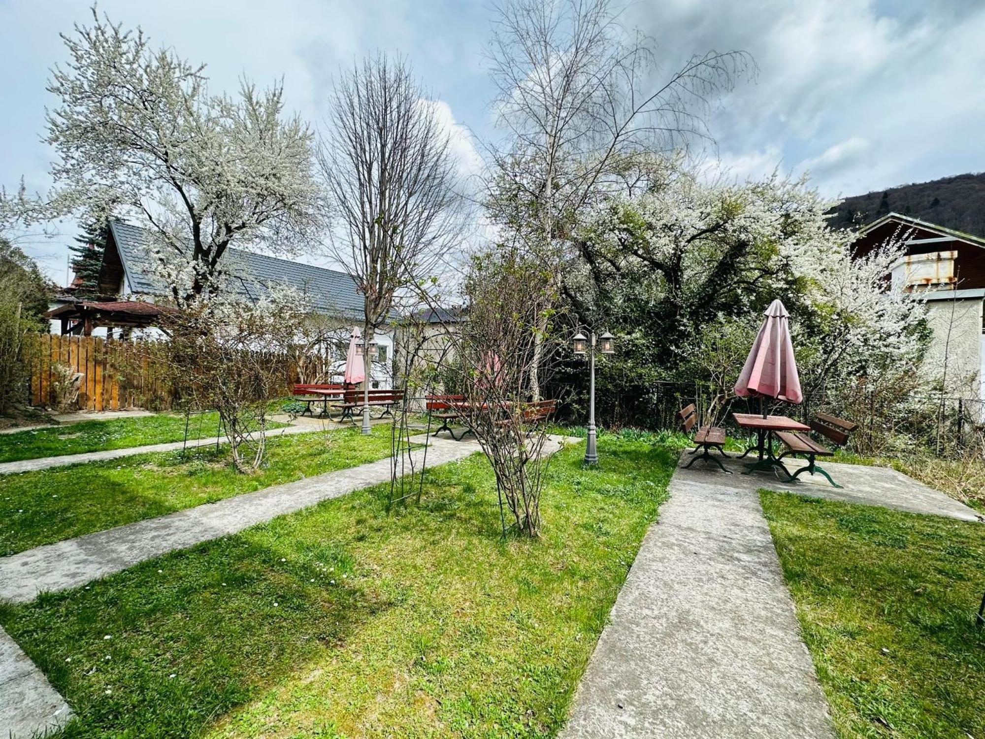 Rapsodia Sinaia Bed & Breakfast ภายนอก รูปภาพ